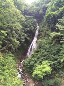 写真 2