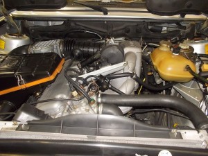 DSCN0219