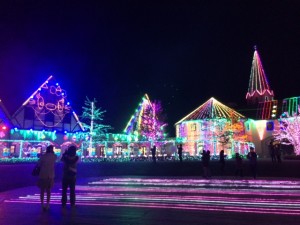 写真 2 (1)