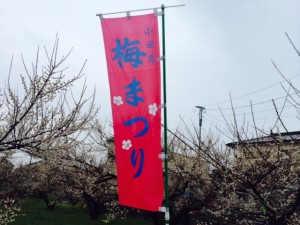 写真 3