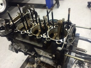 photo 1 (2)