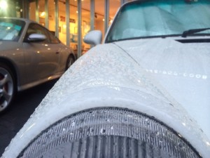 photo 1 (2)